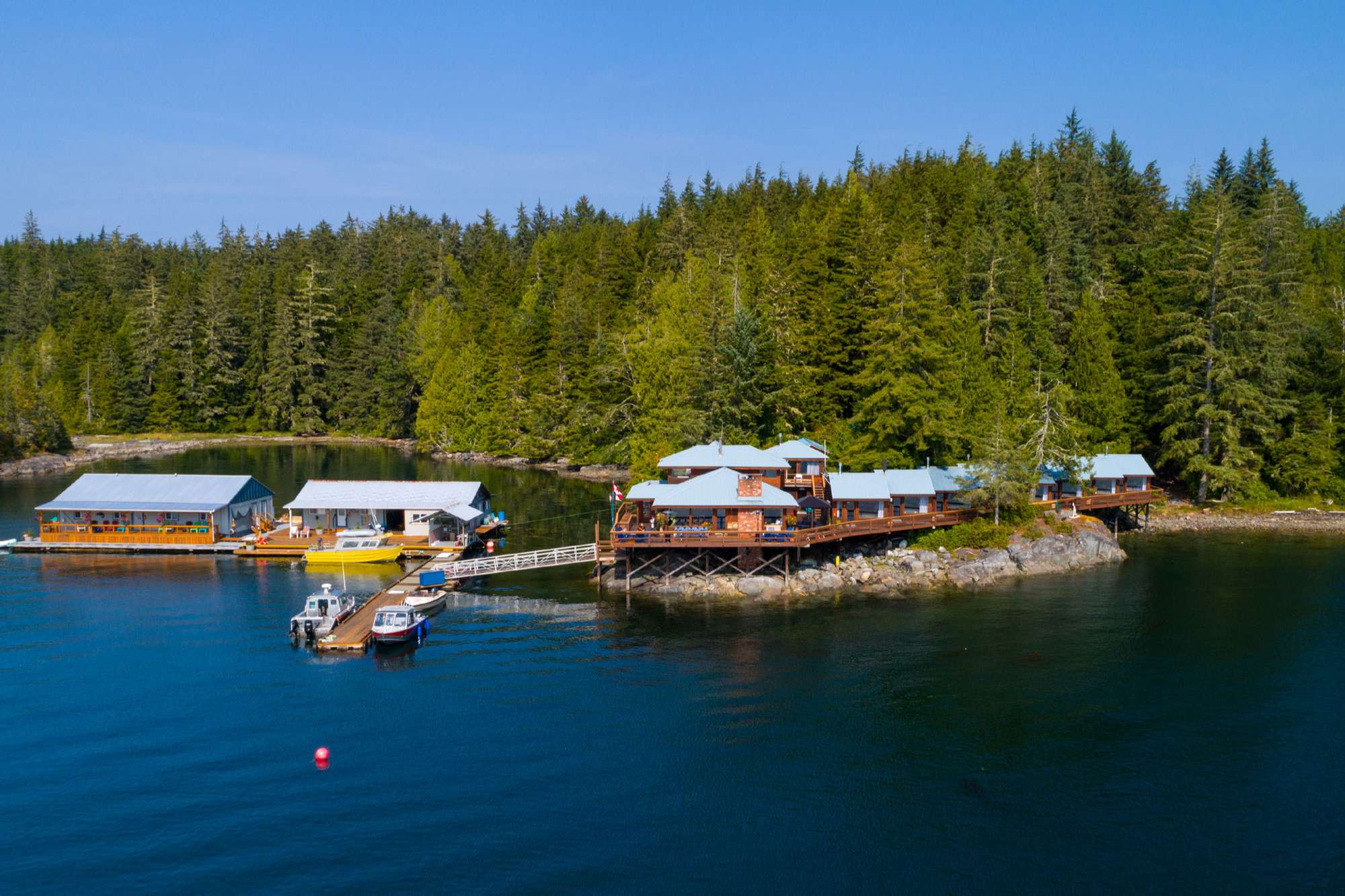 Berry Island Wilderness Lodge - Bear Watching and Marine Wildlife - 4 Days / 3 Nights